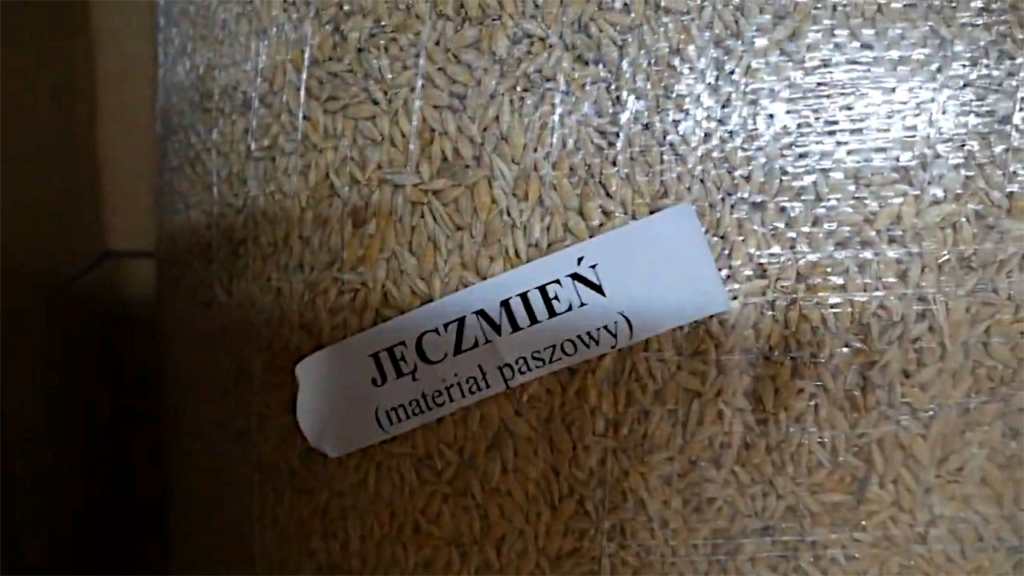 Jęczmień Paszowy