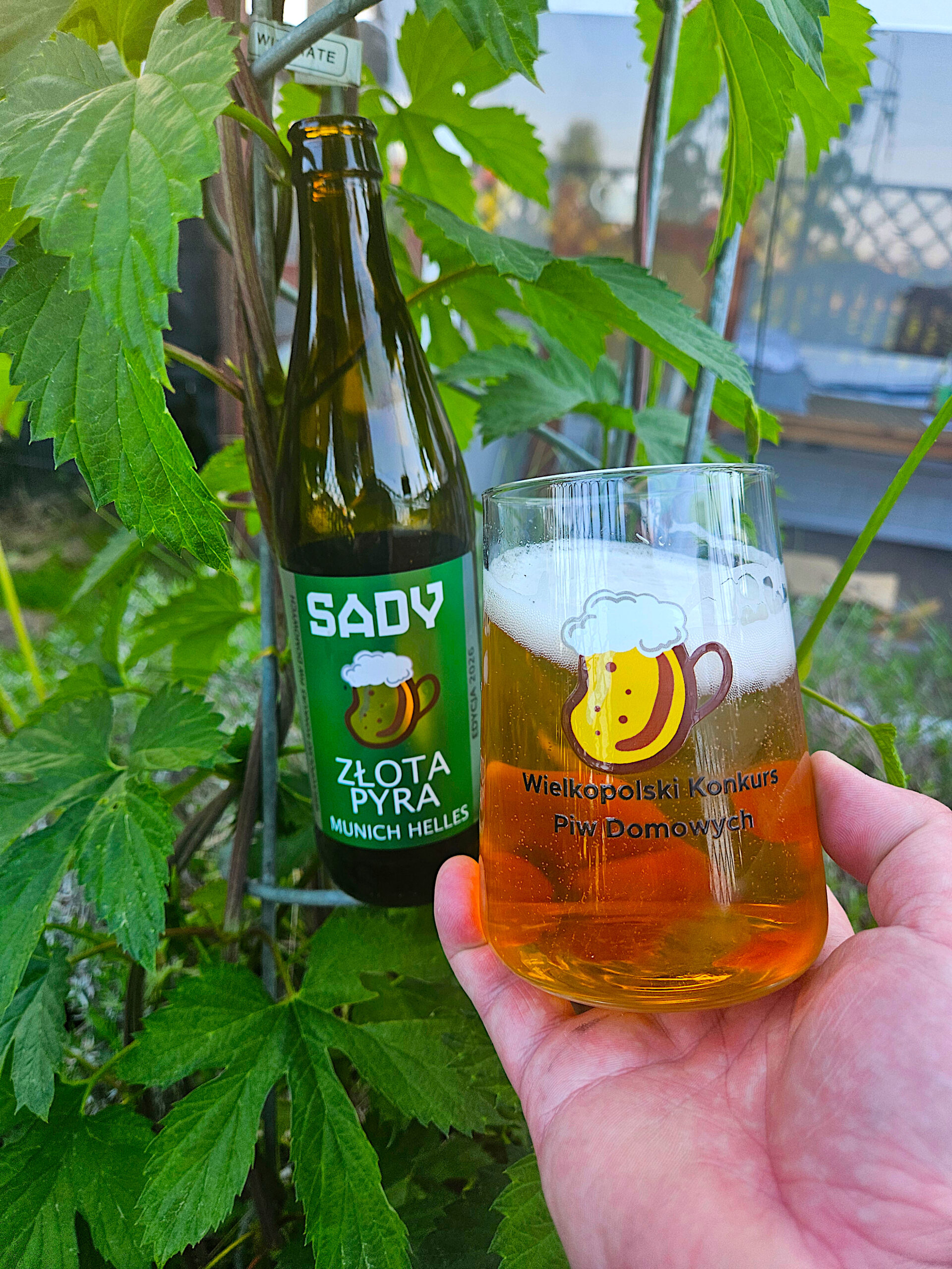 👑 Złota Pyra w butelce: Munich Helles od Adama Spławskiego i Browaru Sady pod lupą sędziego!